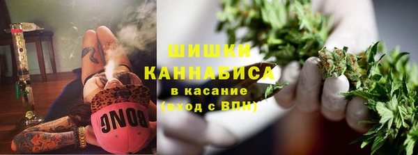 амф Беломорск