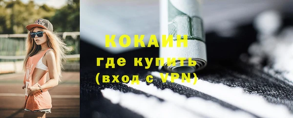 стаф Белокуриха