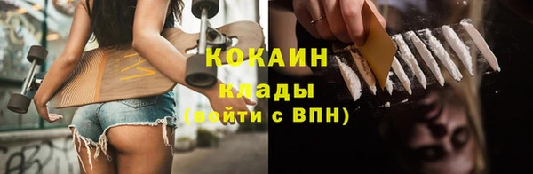 стаф Белокуриха