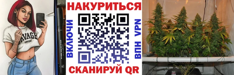 дарнет шоп  Волжск  Конопля гибрид 
